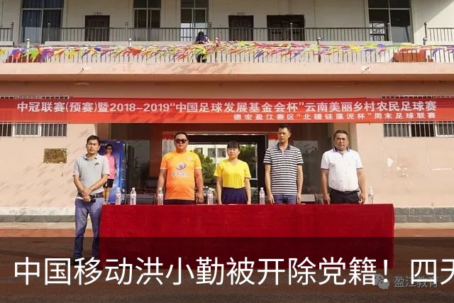 中国移动洪小勤被开除党籍！四天之内运营商打掉“四虎”！