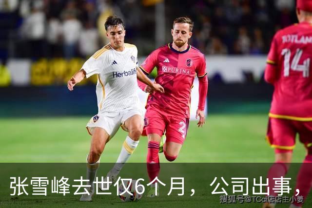 张雪峰去世仅6个月，公司出事，武亮“转移财产”只是冰山一角
