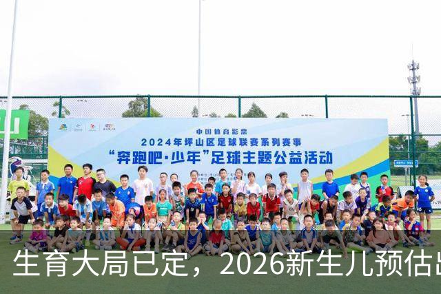 生育大局已定，2026新生儿预估出炉，低生育率根本不是年轻人懒生